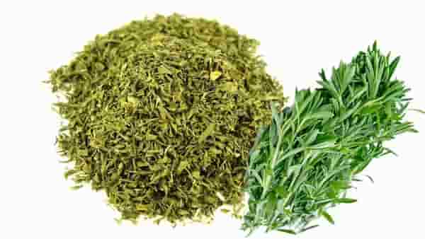 تصویر 2 از قیمت خرید پودر سبزی مرزه + فروش ویژه